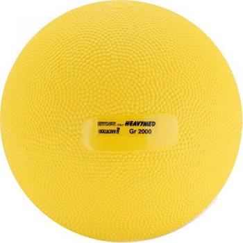 Weighted Pro 2kg Fitness Ball