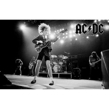 Póster Textil AC/DC 50 Años One Size