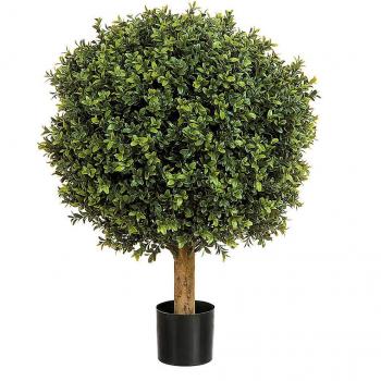 Topiario Buxus Mini Pallina in Legno Autentico