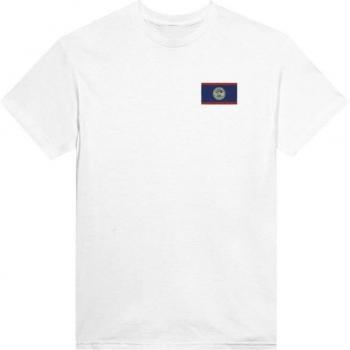 Belize Flag Graphic Tee – PixelForm, Classic Style, 100% Cotton