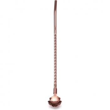 Cuchara de Paja de Acero Inoxidable