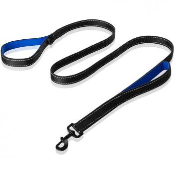 Padded Nylon Dog Leash with Traffic Handle