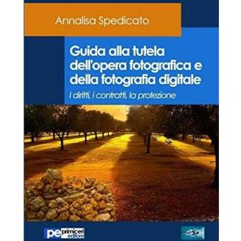 Guida alla tutela dell'opera fotografica e della fotografia digitale. I diritti, i contratti, la protezione