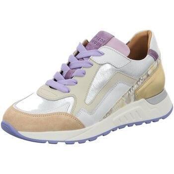 Baskets Confort Multicolore