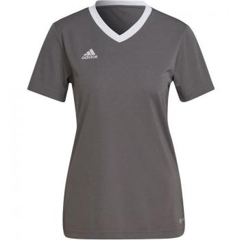 Entrata 22 Maglia Adidas Donne Grigio Chiaro XS