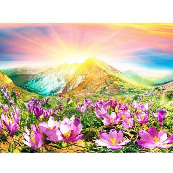 Petal Prism Diamond Craft – 5D 20x30cm Floral Design