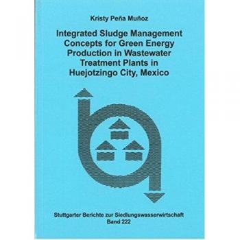 Integrated Sludge Management Concepts for Green Energy Production in Wastewater Treatment Plants in Huejotzingo City, Mexico
