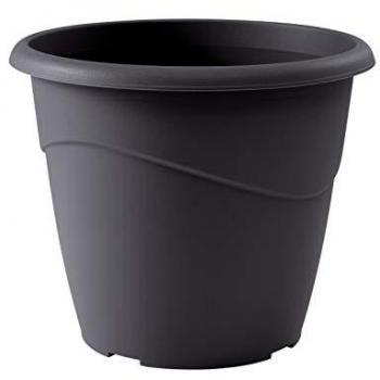 Pot Marina EDA