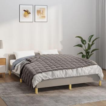 Weighted Blanket with Fabric, Grey, Vidaxl, Size 152x203 cm, Weight 11 kg