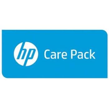 HPE Proactive Care: 24/7 Vor-Ort-Assistenz (36 Monate)