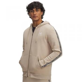 Pull à capuche Under Armour Icon