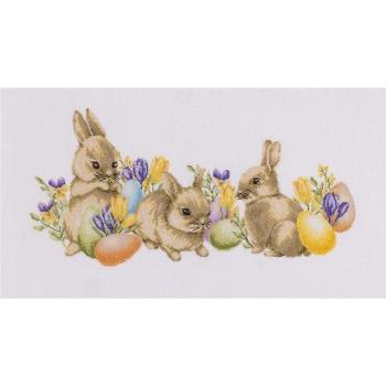 Osterhasen Kreuzstich Kit Aida von Dutch Stitch Brothers 50x25 cm