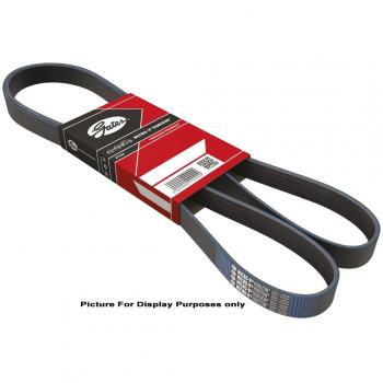 GATES Keilrippenriemen 5PK970 für AUDI, OPEL, FIAT