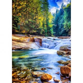 Grafika Puzzle 2000 Teile: Waldidylle mit Wasserfall
