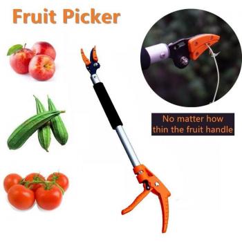 Outil de jardinage pour la récolte de fruits