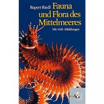 Rupert Riedl Fauna Und Flora Des Mittelmeeres