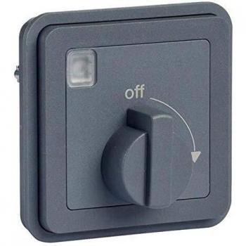 Berker 42273525 – Timer