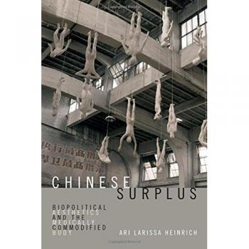 Chinese Surplus by Ari Larissa Heinrich