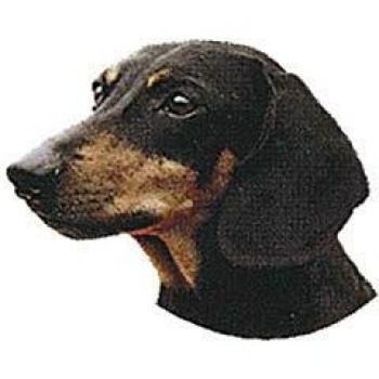 Autocollant Race Teckel Poil Ras 7 cm