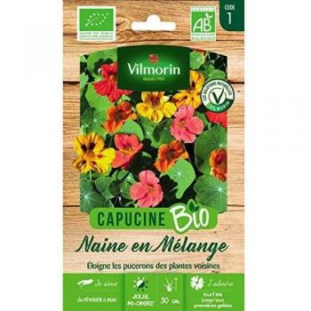 Capucine Naine en mélange Bio Vilmorin