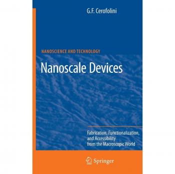 Nanoscale Devices: Fabrication, Functionalization, and Accessibility from the Macroscopic World