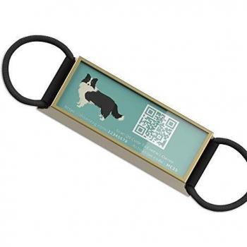 Targhette per Cani “Nome & Foto”