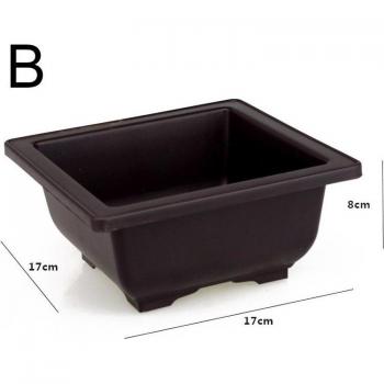 Pot décoratif en plastique pour plantes succulentes