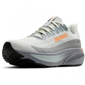 Brooks Ghost 17 GORE‑TEX Medium Laufschuhe grau/orange – 42,5 EUR