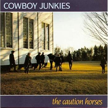 The Caution Horses Double Vinyle