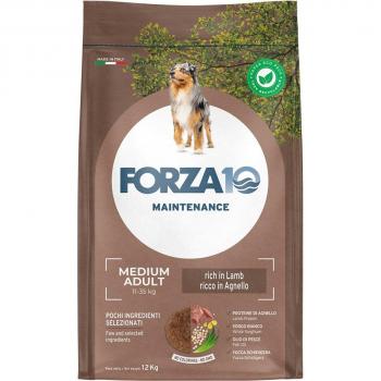 Pack Économique Forza10 Chien