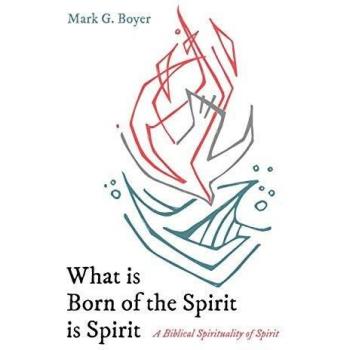 What is Born of the Spirit is Spirit: A Biblical Spirituality of Spirit
