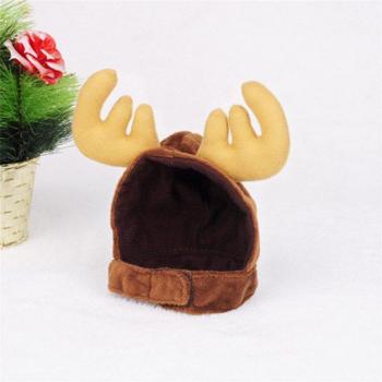 Festive Pet Decoration