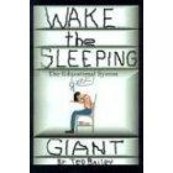 WAKE THE SLEEPING GIANT: THE EDUCATIONAL SYSTEM
