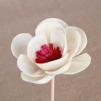 Décoration Maison Litchee – Bouquets de Cerisier en Rotin