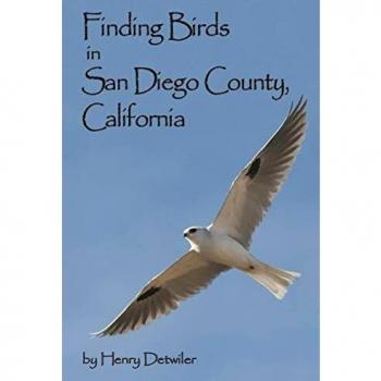 Finding Birds in San Diego County