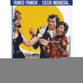 Ma chi t'ha dato la patente?
