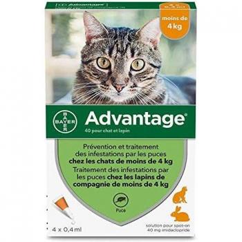 ADVANTAGE 40 Spot on Chat moins de 4 kg Boîte de 4