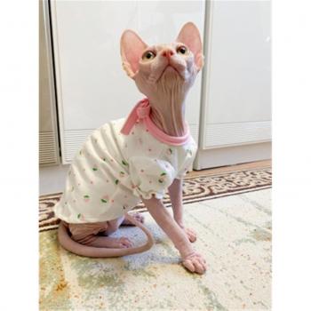 Sphynx Cat Summer Sleeveless Dress