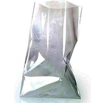 Confezione da 10 Sacchetti Trasparenti per Cibo 23 x 14 cm
