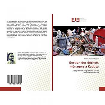 Mweze Mapenzi, Walter: Gestion des déchets ménagers à Kadutu