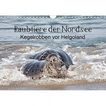 Raubtier der Nordsee