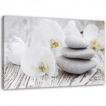 Décoration Murale Orchidée et Pierres 60x40