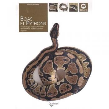 Massimo Millefanti Boas Et Pythons