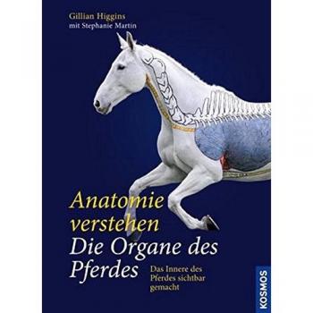 Anatomie verstehen