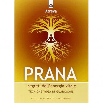 Prana. I segreti dell'energia vitale