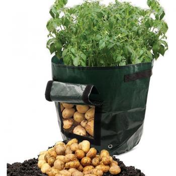 Carrot Growing Bag