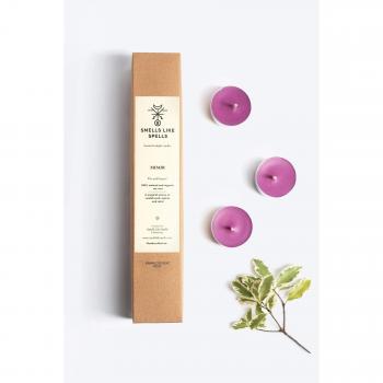 Spellbound Mimir Candles – 6 Piece Mint & Sandalwood