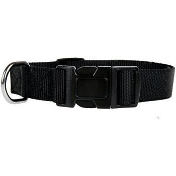 Collier Nylon Chien 25mm 39-58cm Noir
