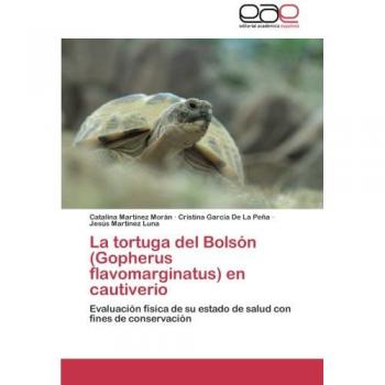 Martínez Morán, Catalina: La tortuga del Bolsón (Gopherus flavomarginatus) en cautiverio