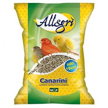 Pasto Completo Canarini 4 kg